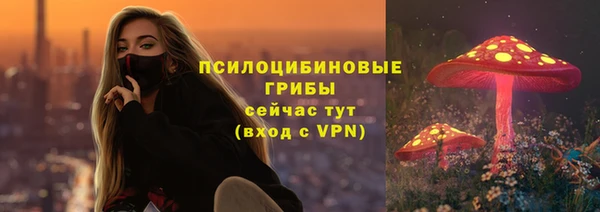 Альфа ПВП Михайлов
