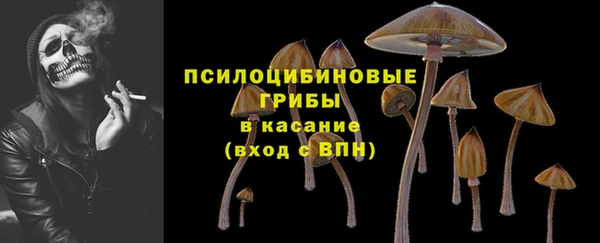 винт Богданович