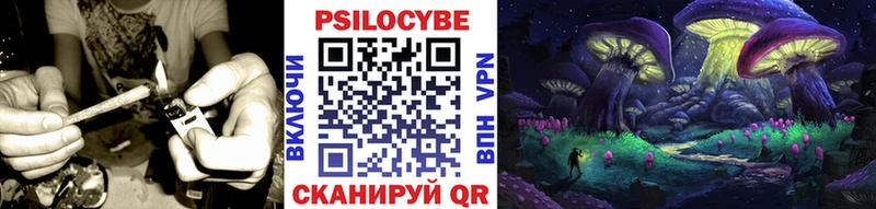 цена   гидра ТОР  Галлюциногенные грибы MAGIC MUSHROOMS  Рассказово 