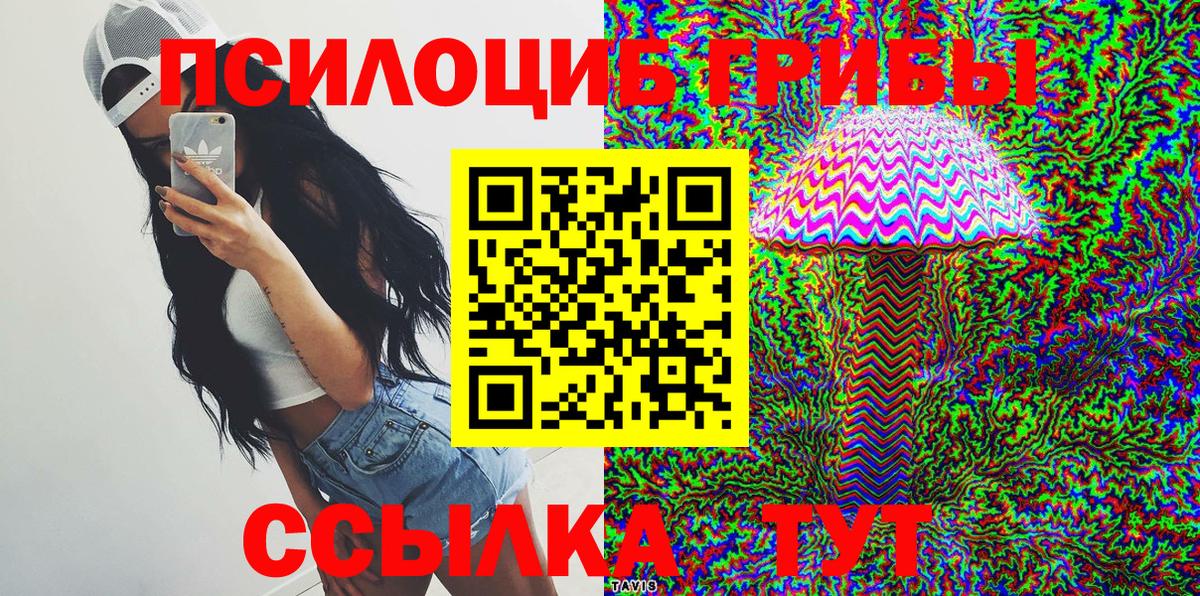 Рассказово  Галлюциногенные грибы ЛСД  Вход с VPN 