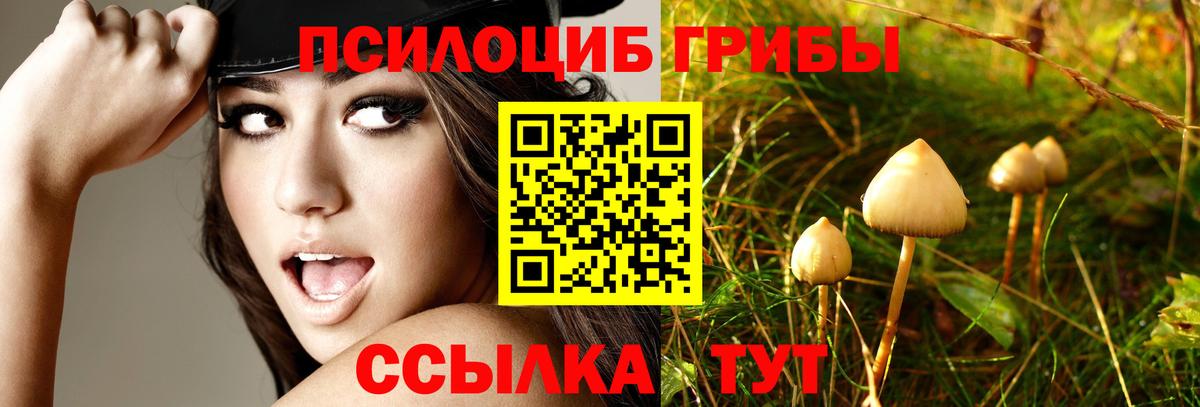 Галлюциногенные грибы GOLDEN TEACHER Рассказово