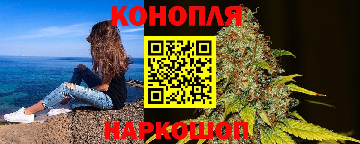 Бошки Шишки конопля Рассказово